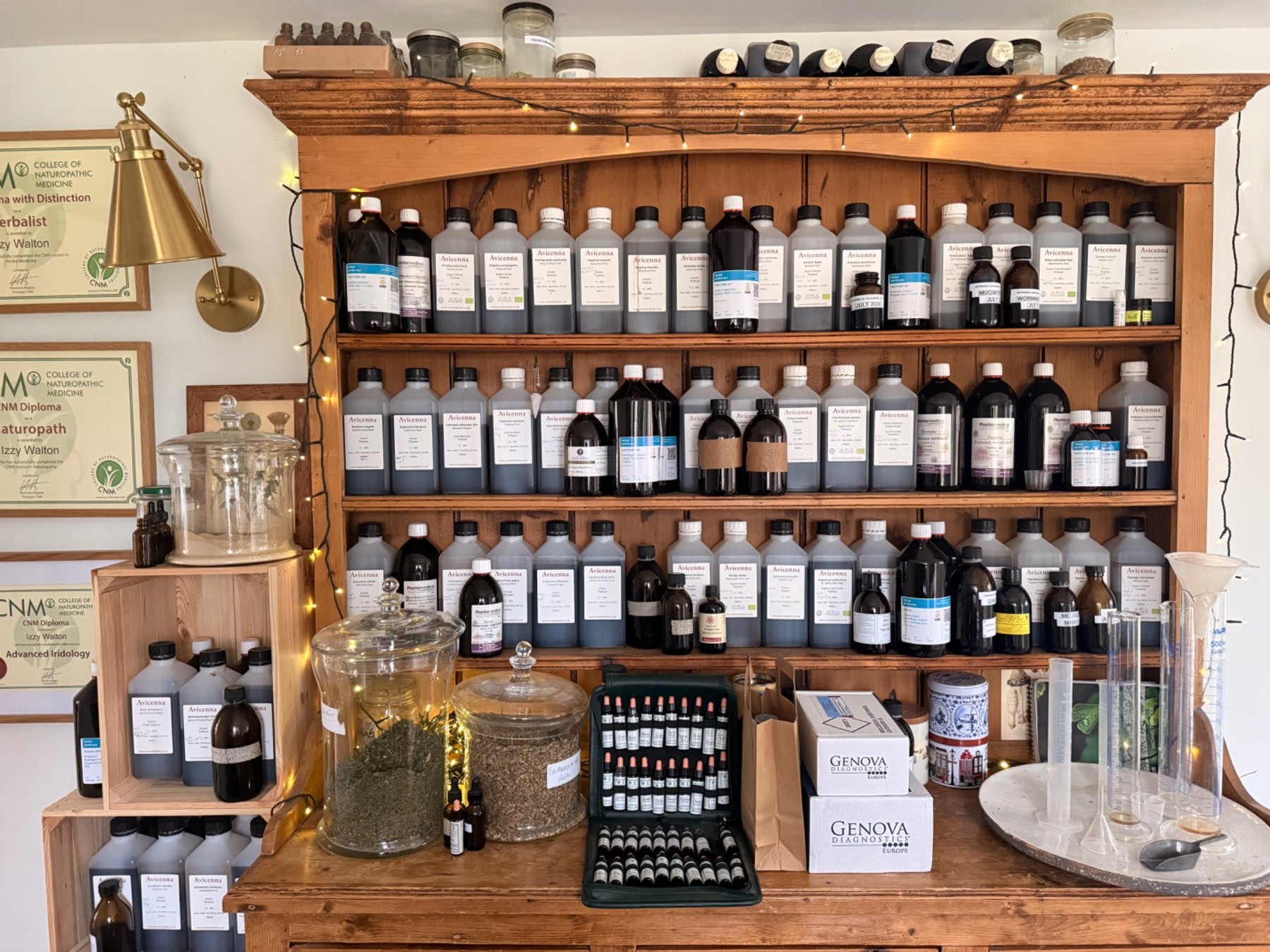 The herbal dispensary with rows of tincture bottles
