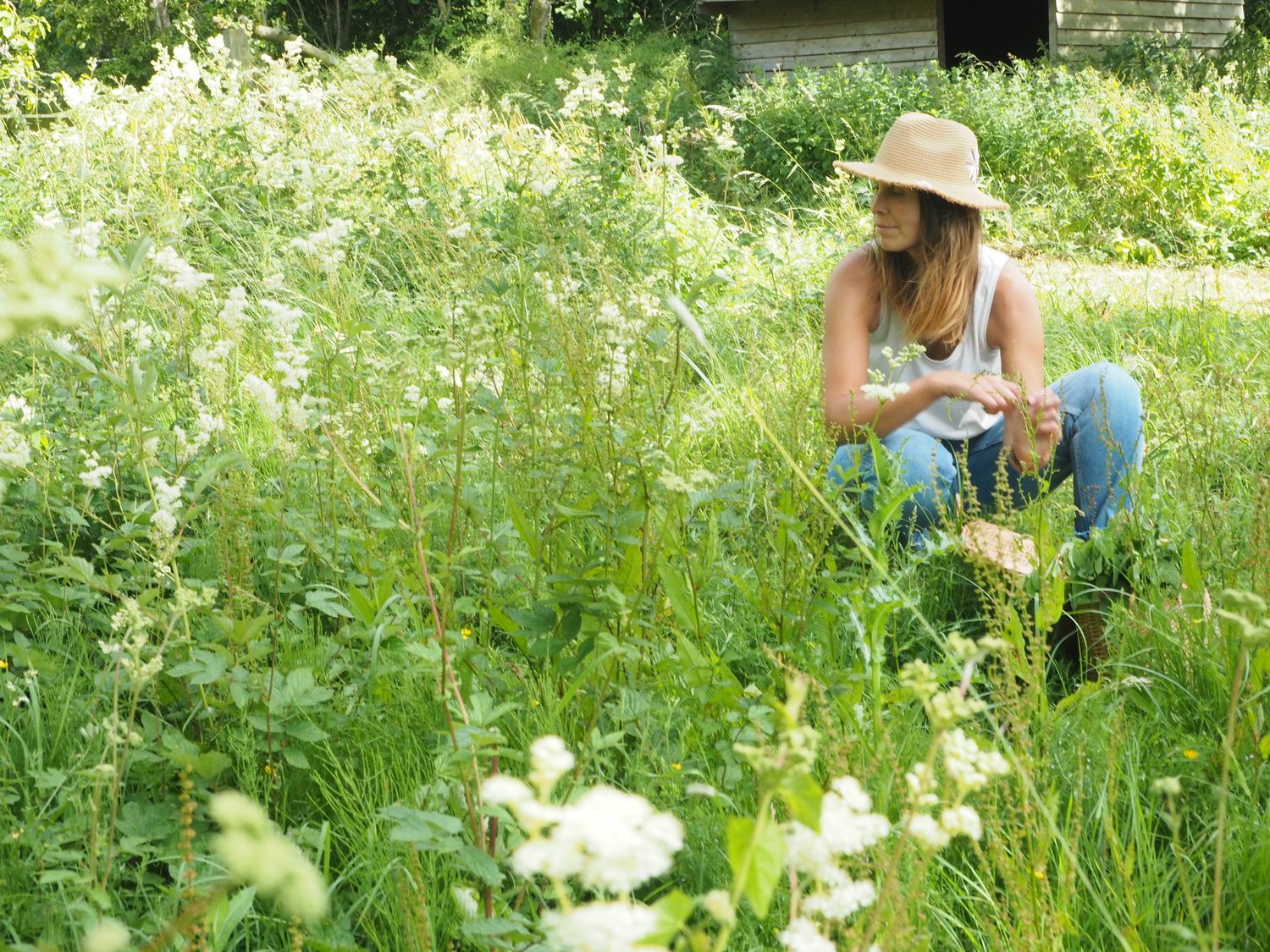 Izzy among flowering herbs in the garden